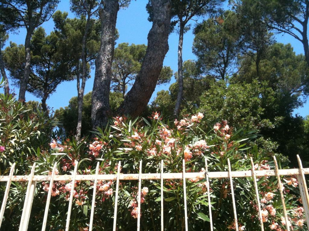 La Casa di Ulisse B&B Quercianella Esterno foto