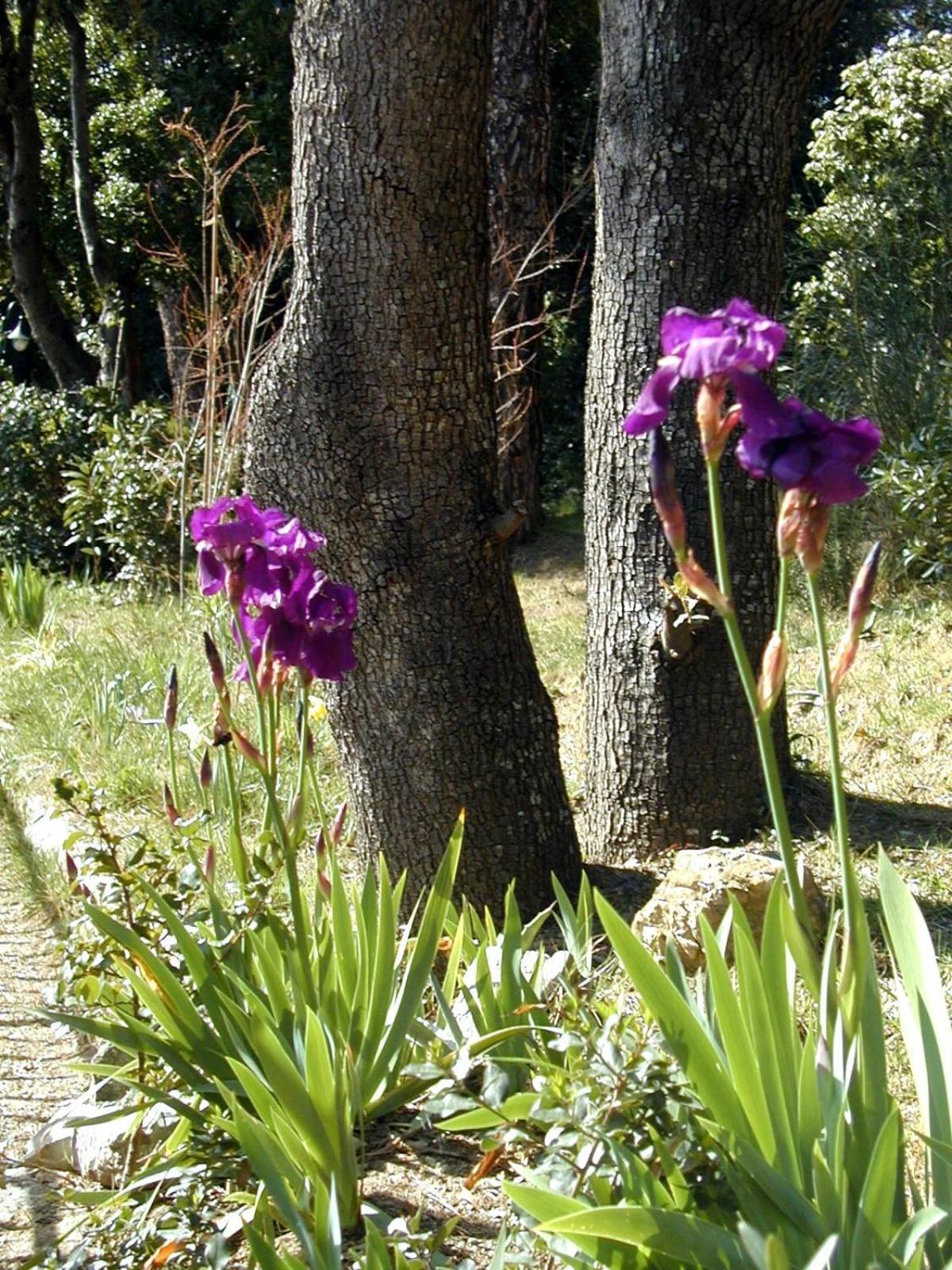 La Casa di Ulisse B&B Quercianella Esterno foto