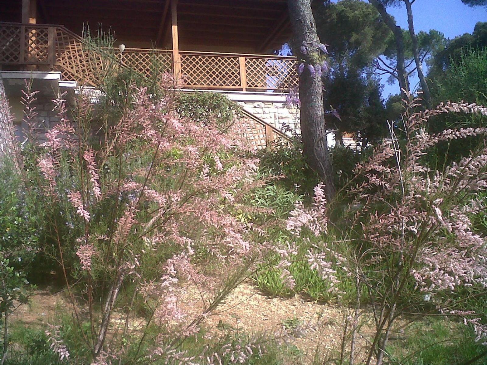 La Casa di Ulisse B&B Quercianella Esterno foto