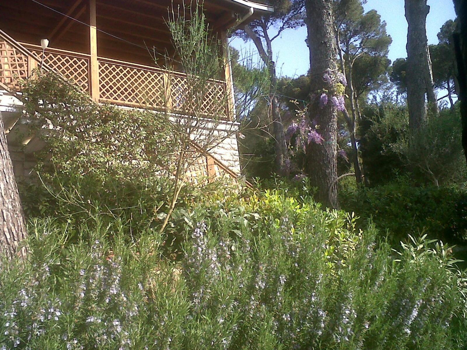 La Casa di Ulisse B&B Quercianella Esterno foto